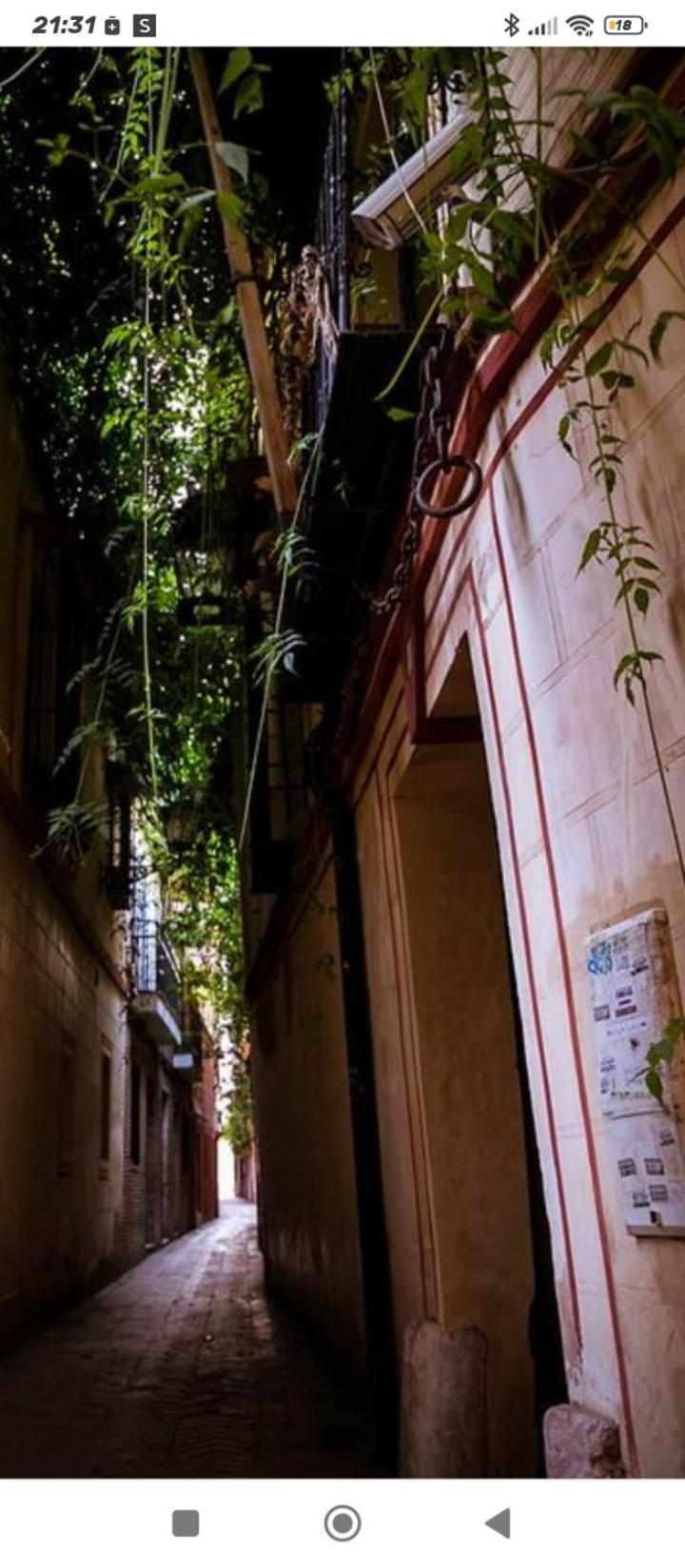 Apartamento La Casa De Pepa Sevilla Exterior foto